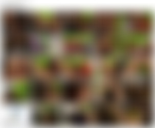 HardcorePartying.com (RealityGang.com)/Thumbnails/Dadon's Sex Party.jpg