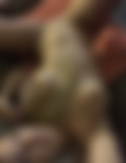 Onlyfans.com - skyeevans/Images/03-09-2019-10381608.jpg