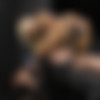 Ariel_Fucked.Like.a.Bitch thumbnail