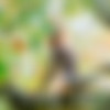 Torro/2019-08-12 Forbidden Fruit
