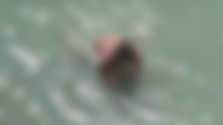 SxBeach_Add008/bh_7384.avi