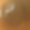 Zishy.com_SITERIP_Feb_2017_September_2017 thumbnail
